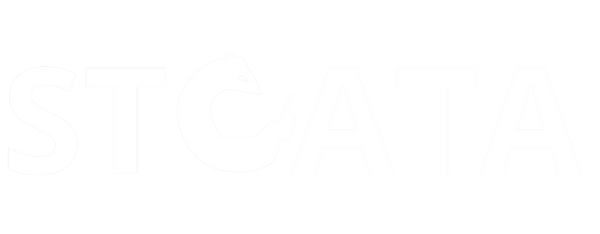 Stoata wordmark logo